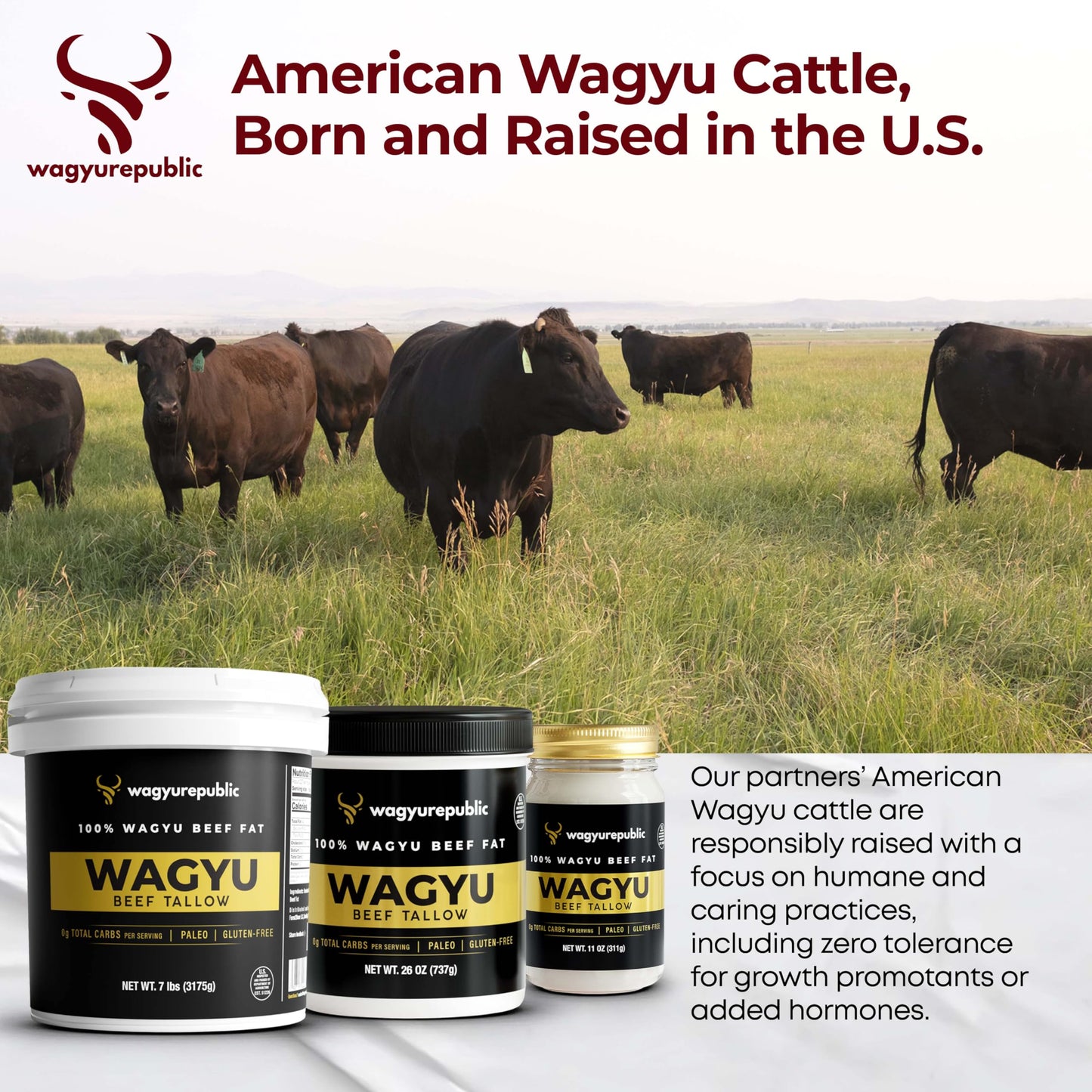 Wagyu Republic Beef Tallow ⎸ Grass Fed Wagyu Beef Tallow, Great for Cooking Steak or as Tallow Balm ⎸ Keto, Gluten Free Protein Snacks for Adults, Perfect for Whole 30 or Carnivore Diet ⎸32oz Jar