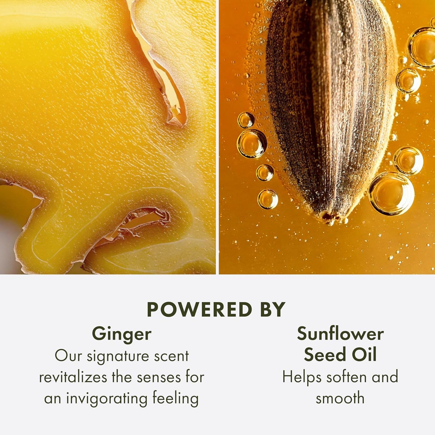 Origins Ginger Hand & Body Lotion | Hydrates & Softens | With Vitamin E & Aloe Vera