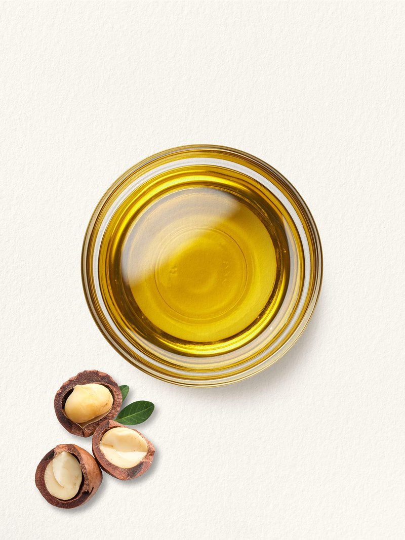 Carlyle Macadamia Nut Oil | 3 x 16 fl oz Bottles | Virgin Cold Pressed with Omega-9 | Food Grade for Cooking | Great for Hair and Skin | Vegetarian, Non-GMO & Gluten Free