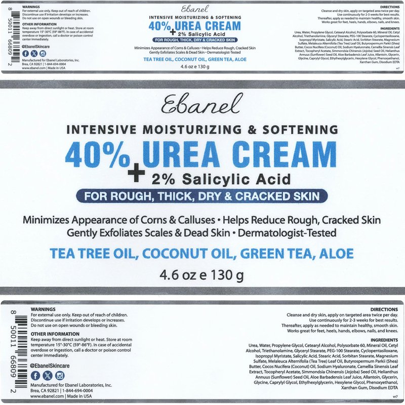 Ebanel Urea Cream 40% plus Salicylic Acid 2%, Foot Cream for Dry Cracked Heels Feet Knees Elbows Hands, Foot Dead Skin Cuticle Callus Remover Toenail Softener, Keratolytic Skin Barrier Repair Cream