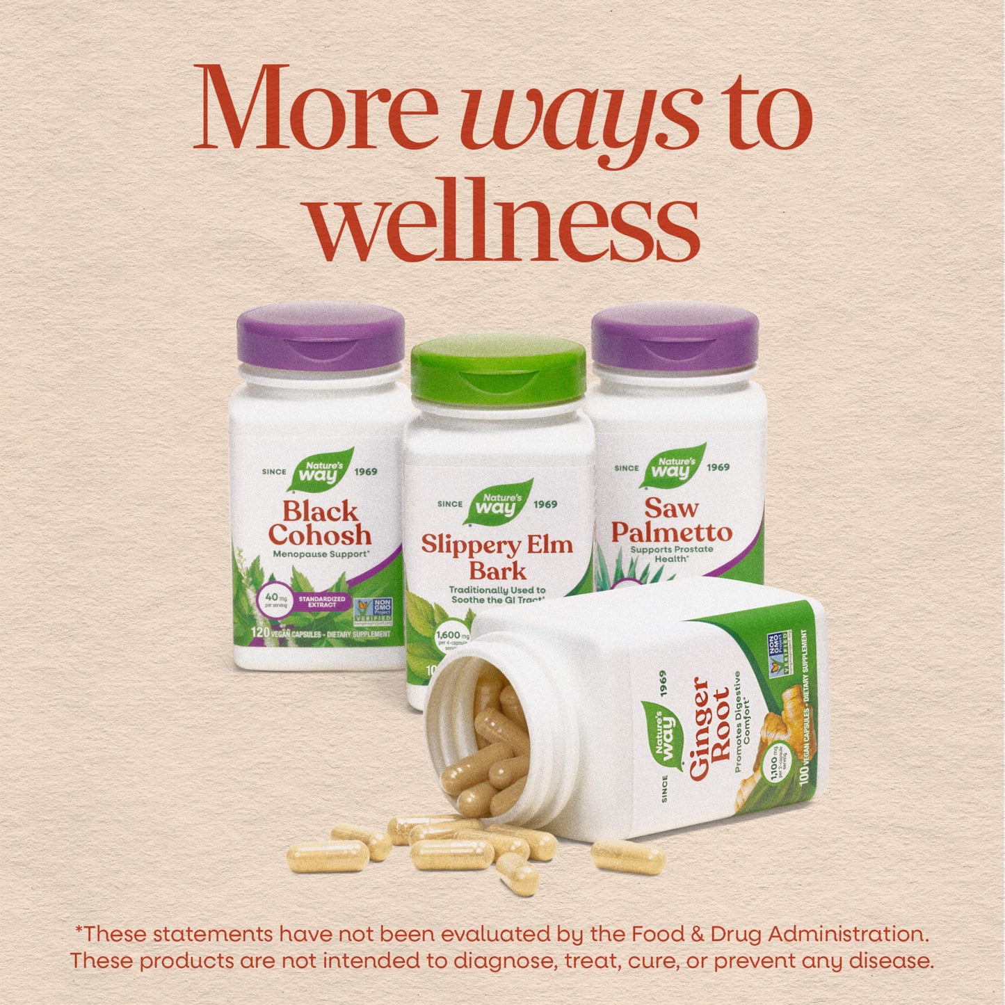 Nature's Way Horse Chestnut Extract, Supports Healthy Leg Veins*, 90 ct