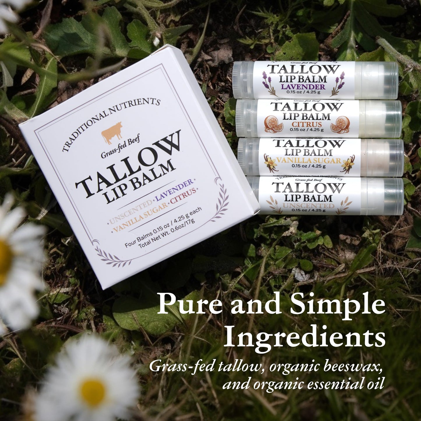 Traditional Nutrients Grass-Fed Beef Tallow Lip Balm, Variety 4-Pack, Unscented, Lavender, Vanilla Sugar, Citrus, with Organic Beeswax