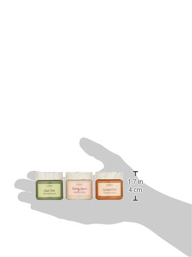 Quick Recovery Face Mask Sampler Set - FarmHouse Fresh, 3 Count for Radiant Skin