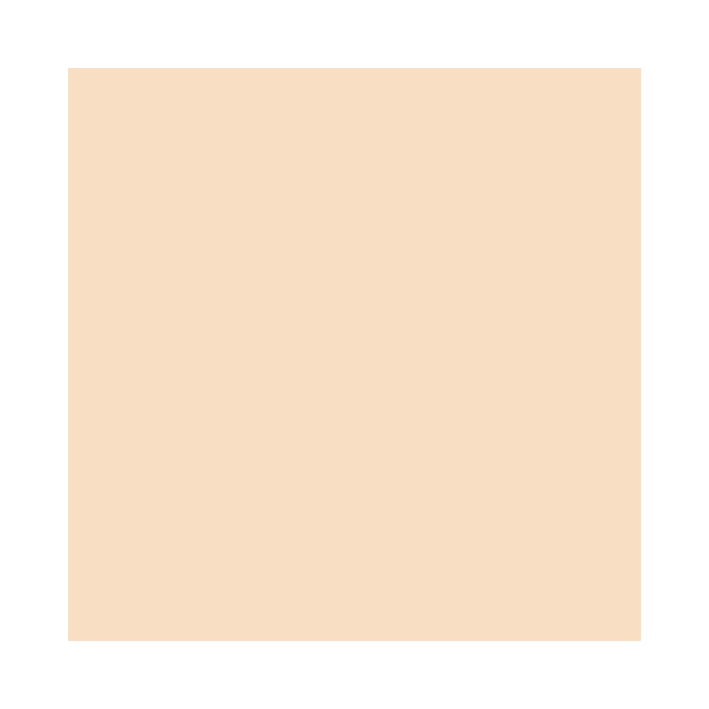 MAC Studio Fix Pro Set + Blur Weightless Loose Powder - Light (Light beige with neutral undertone) - 0.22 oz / 6.5 g