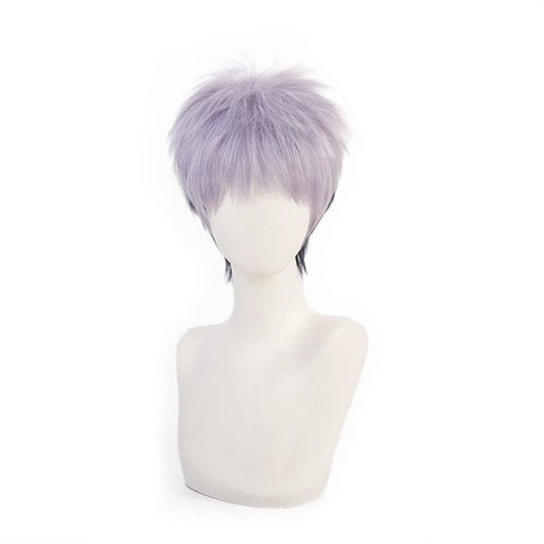 Mystylecos Takashi Mitsuya Grey Purple Cosplay Wigs Anime Japan The Way of Rebirth Carnival Party Wigs