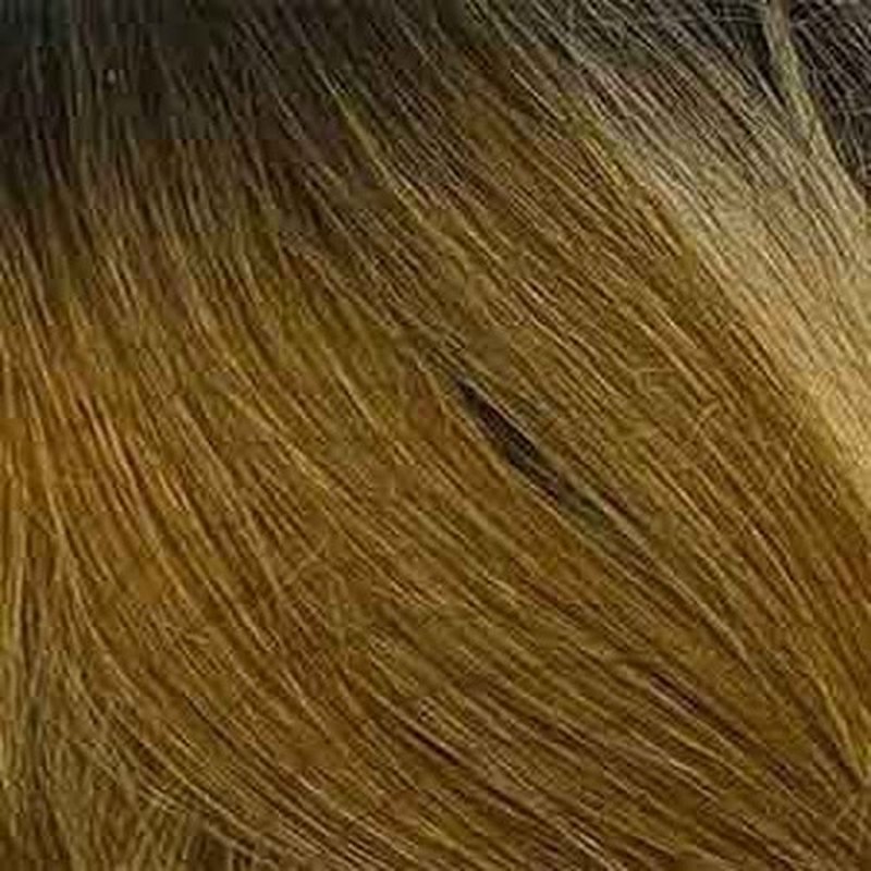 BOBBI BOSS Stefania - MLF646 - Synthetic Lace Front Wig (TT4/27430)