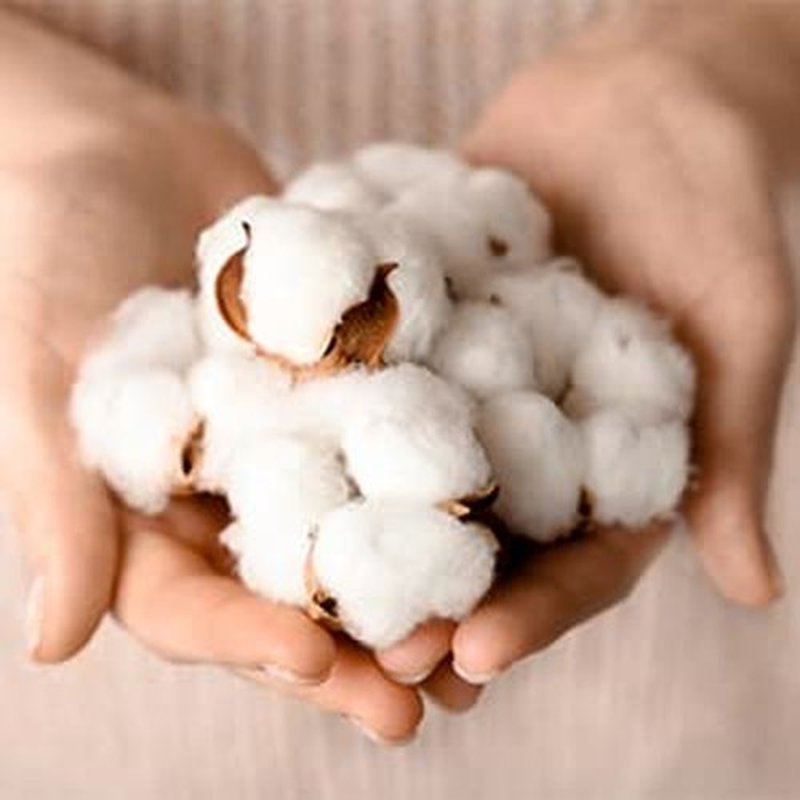 Organyc - 100% Organic Cotton Balls for Sensitive Skin 1200 Count, 100 Count(Pack of 12)