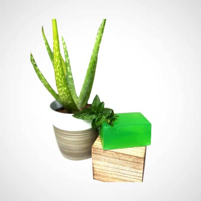 All Natural Soap Bar 5 oz (3 pack) (Aloe Vera - Peppermint & Eucalyptus)