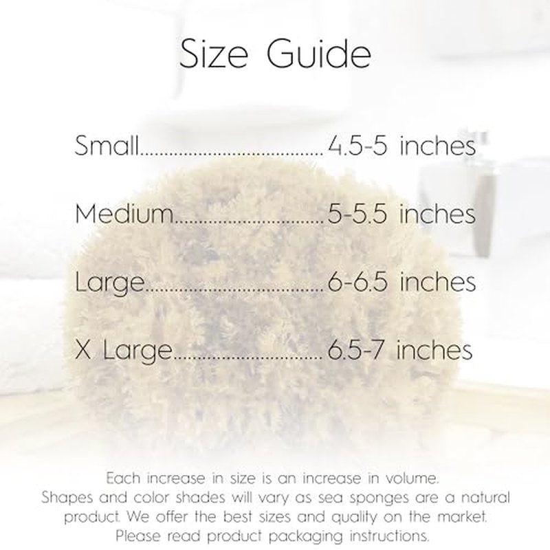 Naroa Exfoliating Natural Sponge for Bathing | Bath Sea Sponge for Healthy Skin | Unbleached Shower Body Scrubber Puff | Eco Friendly Plastic Free Sponge (Exfoliate - Small)