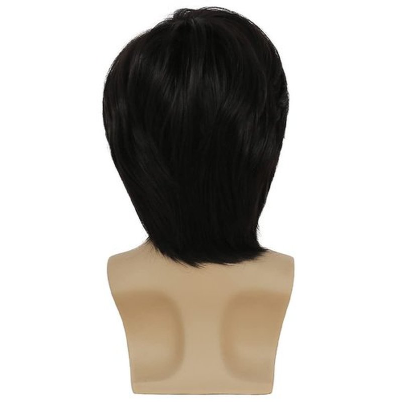 Swiking Men Black Layered Wigs for Male Guy Short Fluffy Natural Hair Soft Synthetic Cosplay Costume Party Full Wigs