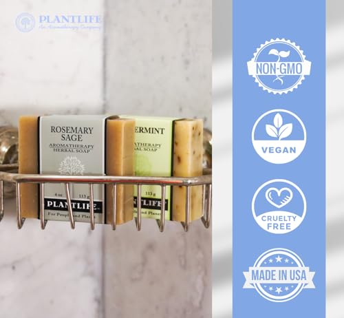 Plantlife Oatmeal Almond Bar Soap - Moisturizing and Soothing Soap for Your Skin - Hand Crafted Using Plant-Based Ingredients - Made in California 4oz Bar