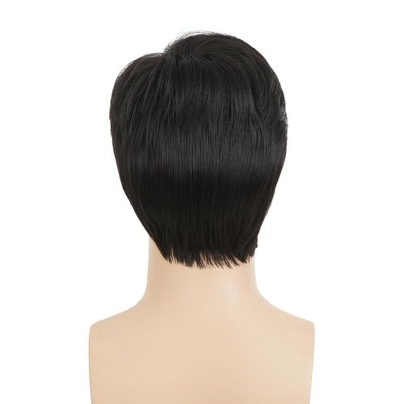 Amnenl Black Short Wig for Men Side Part Straight Natural Synthetic Heat Resistant Wig for Daily Party Use