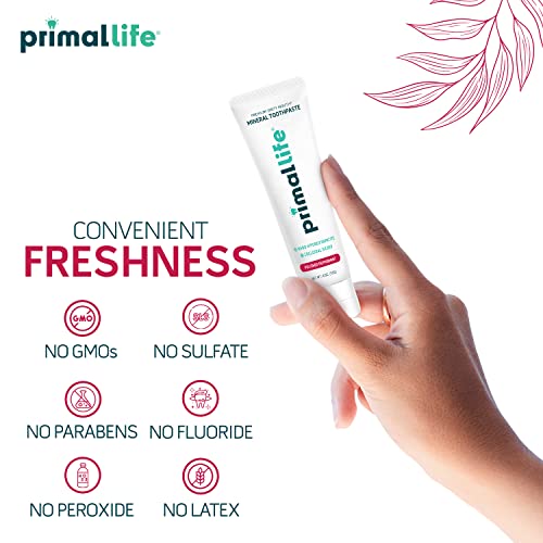 Primal Life Organics Premium Dirty Mouth Mineral Toothpaste - Nano-Hydroxyapatite, Colloidal Silver, Charcoal - Organic, All Natural Whitening Formula (Bubblegum Flavor, 4oz)