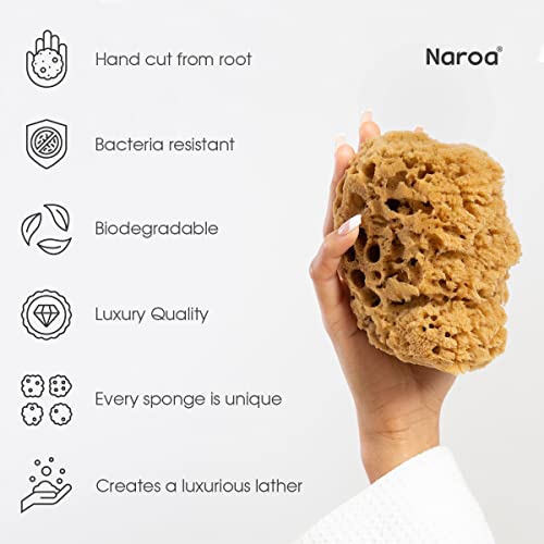 Naroa Massage Natural Shower Sponge | Unbleached Body Scrubber Puff | Bath Sponge for Healthy Skin | Eco Friendly Sustainable Sea Sponge (Massage - Small)