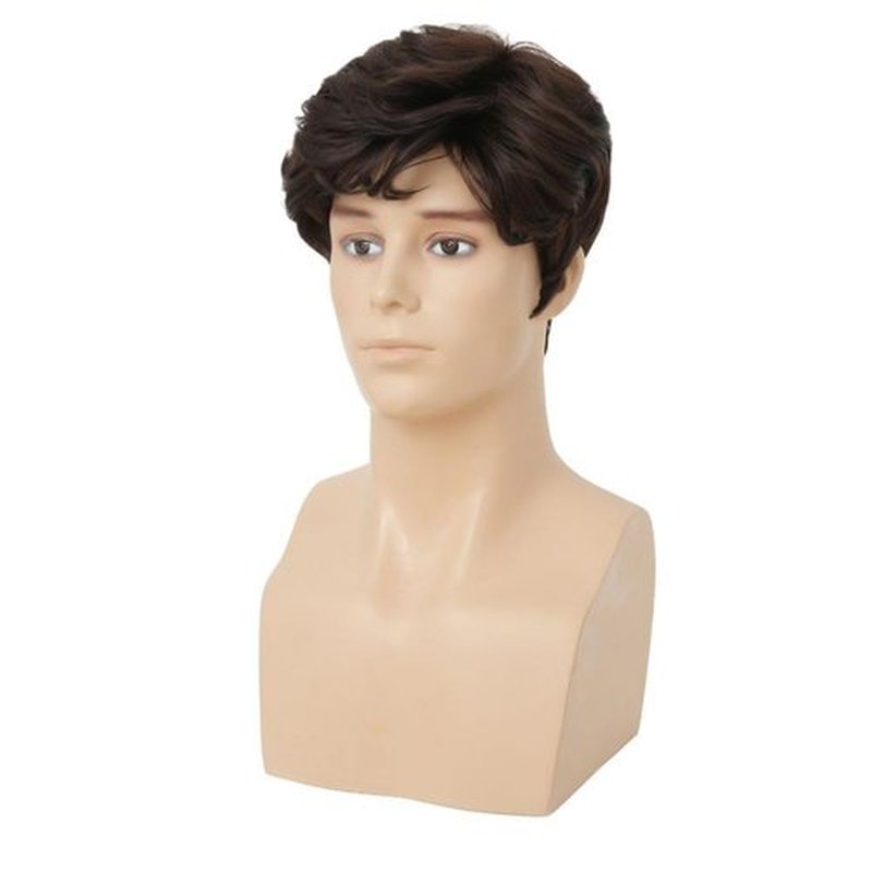 Amnenl Black Short Mens Wig Fluffy Natural Looking Synthetic Heat Resistant Fiber Shaggy Daily Hair Wig for Male Guy
