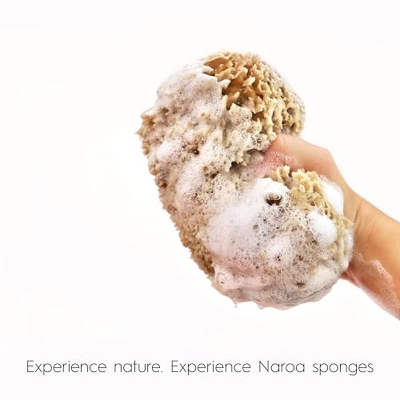 Naroa Exfoliating Natural Sponge for Bathing | Bath Sea Sponge for Healthy Skin | Unbleached Shower Body Scrubber Puff | Eco Friendly Plastic Free Sponge (Exfoliate - Small)