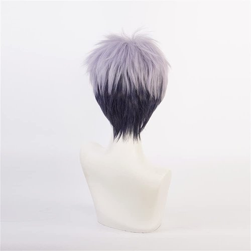 Mystylecos Takashi Mitsuya Grey Purple Cosplay Wigs Anime Japan The Way of Rebirth Carnival Party Wigs