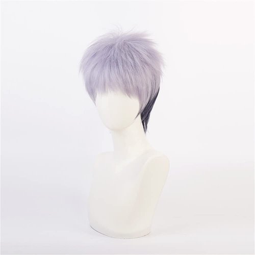 Mystylecos Takashi Mitsuya Grey Purple Cosplay Wigs Anime Japan The Way of Rebirth Carnival Party Wigs