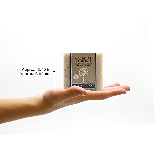 Plantlife Oatmeal Almond Bar Soap - Moisturizing and Soothing Soap for Your Skin - Hand Crafted Using Plant-Based Ingredients - Made in California 4oz Bar