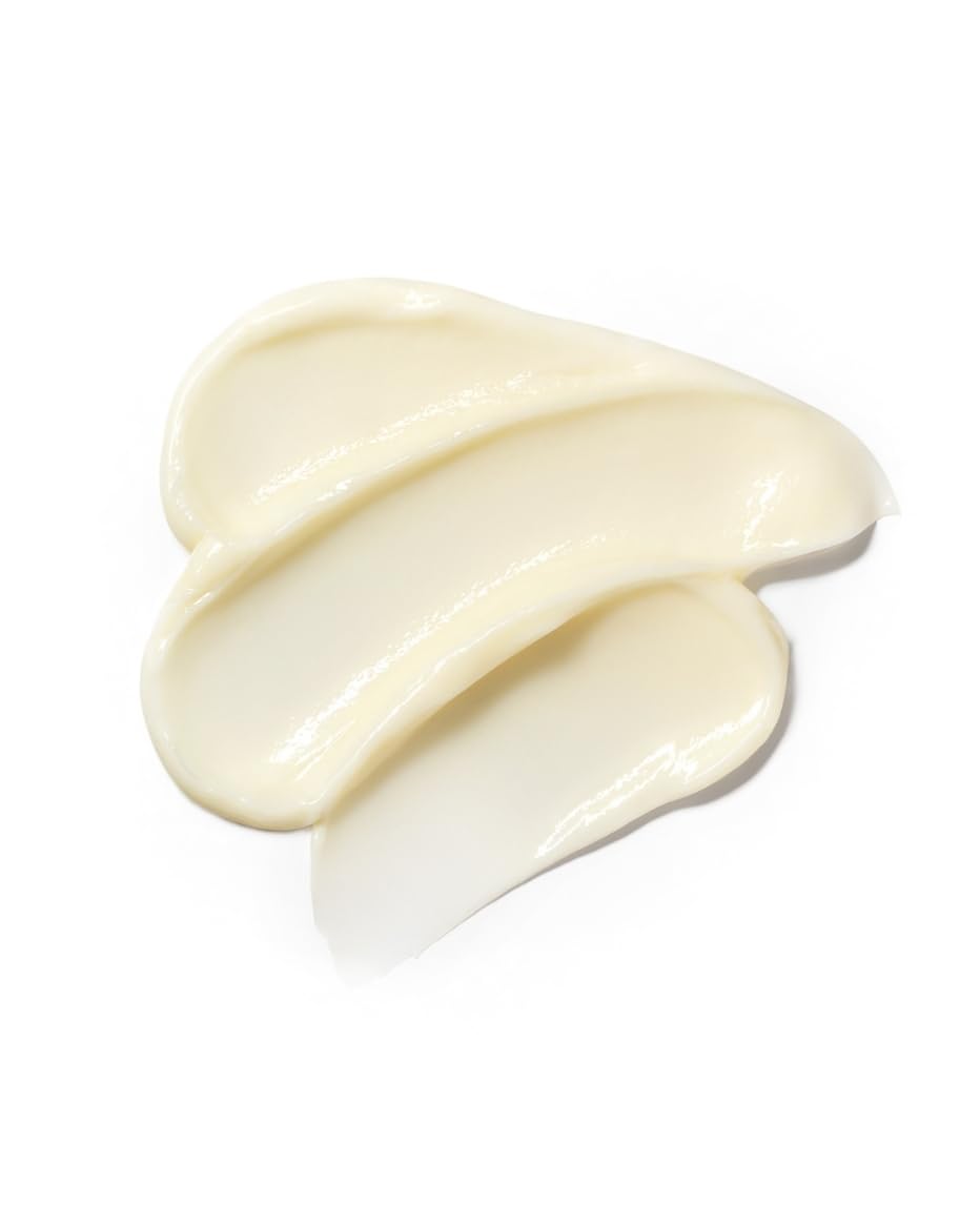 John Masters Organics | Daily Nourishing Conditioner with Citrus & Neroli | Detangle | Frizz Control | Oily Scalp | Silicone & Paraben Free 8 oz