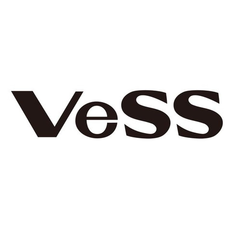 VESS Salon Roll Brush Professional Use PRO-250 For Straight Long Hir-D48 mm-Made in Japan