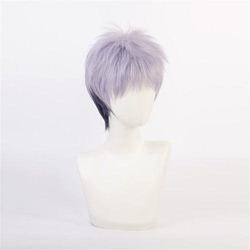 Mystylecos Takashi Mitsuya Grey Purple Cosplay Wigs Anime Japan The Way of Rebirth Carnival Party Wigs