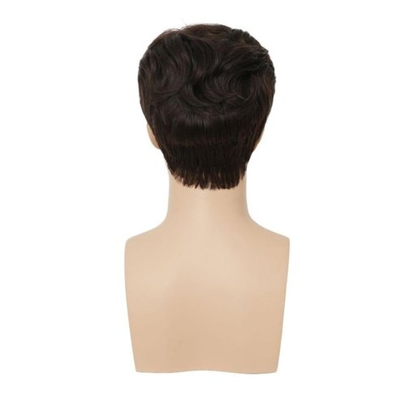 Amnenl Black Short Mens Wig Fluffy Natural Looking Synthetic Heat Resistant Fiber Shaggy Daily Hair Wig for Male Guy