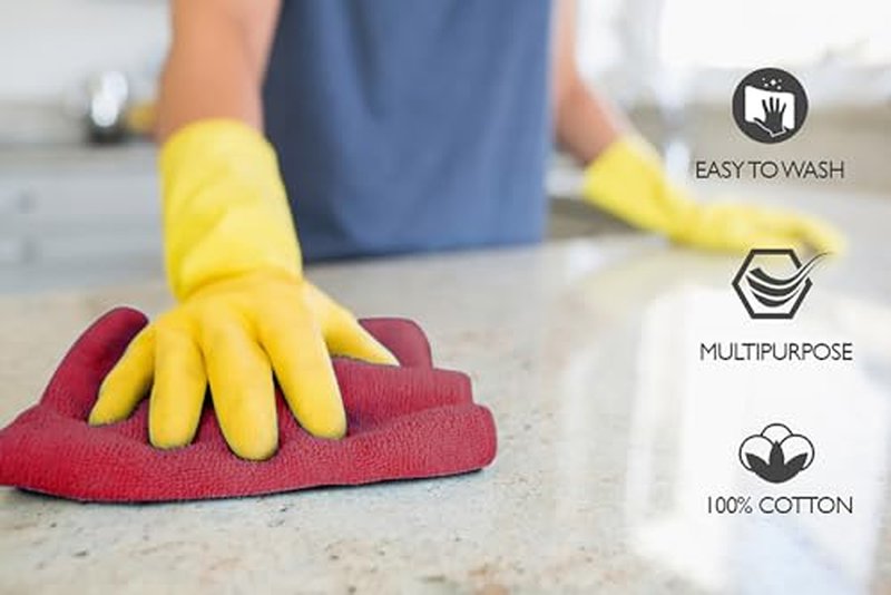Premium Wash Cloths Pack of 12 (13" x 13" Inches)- 100% Combed Ring Spun Cotton WashCloth - Luxury Washcloths – Ultra Soft Face Towels - Highly Absorbent Wash Cloth for Face (Grey) (Raspberry)