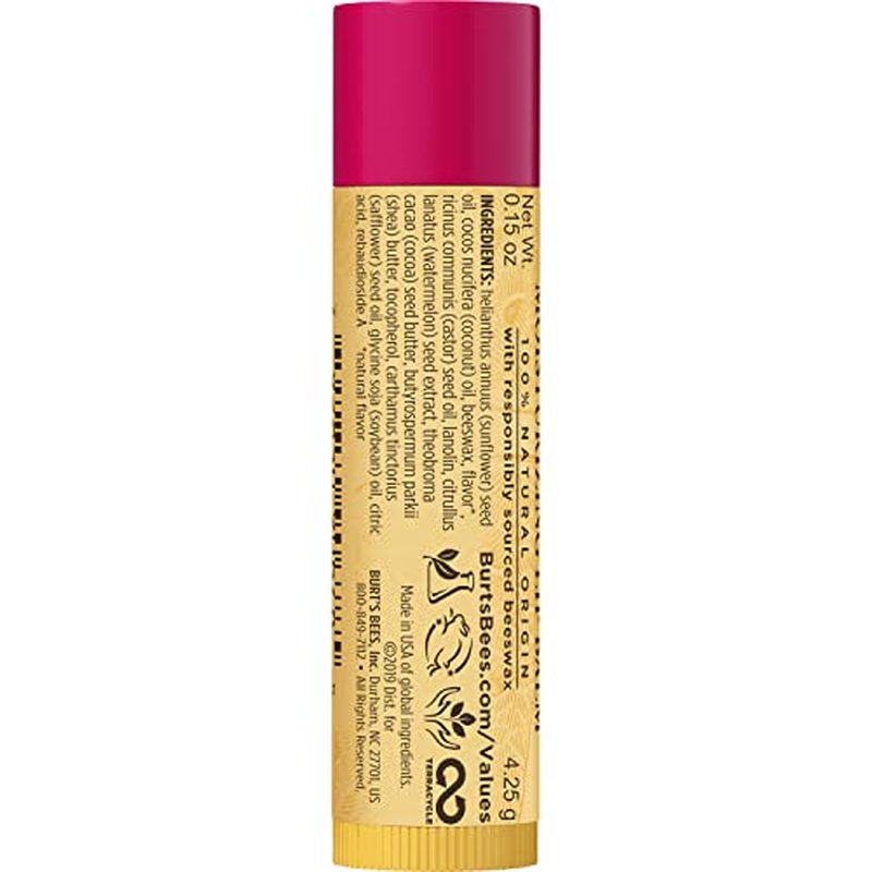 Burt's Bees Lip Balm Easter Basket Stuffers - Watermelon, Lip Moisturizer With Responsibly Sourced Beeswax, Tint-Free, Natural Conditioning Lip Treatment, 2 Tubes, 0.15 oz. (Pack of 2)
