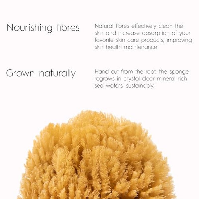 Naroa Exfoliating Natural Sponge for Bathing | Bath Sea Sponge for Healthy Skin | Unbleached Shower Body Scrubber Puff | Eco Friendly Plastic Free Sponge (Exfoliate - Small)