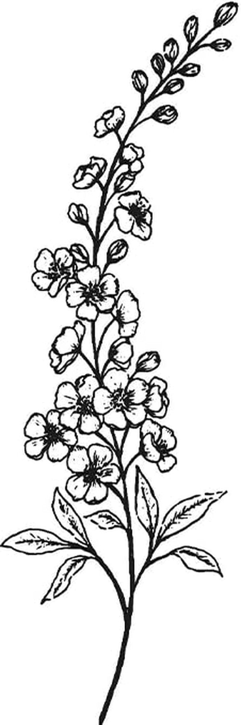 Inkbox Temporary Tattoos, Semi-Permanent Tattoo, One Premium Easy Long Lasting, Water-Resistant Temp Tattoo with For Now Ink - Lasts 1-2 Weeks, Delphi, 5 x 2 in