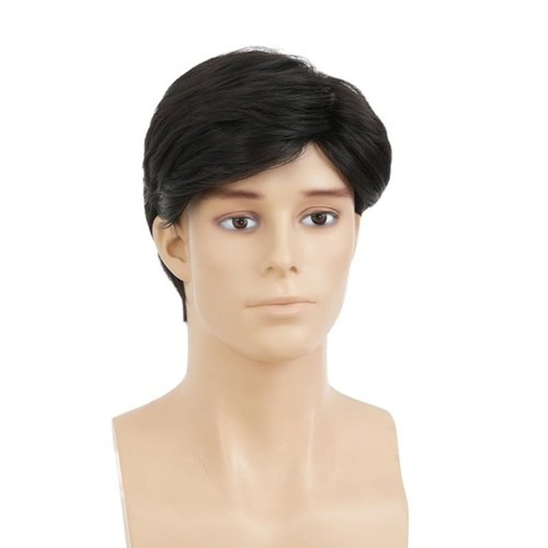 Amnenl Black Short Wig for Men Side Part Straight Natural Synthetic Heat Resistant Wig for Daily Party Use