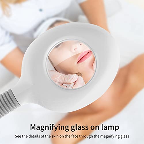 Winado 2 in 1 Facial Steamer with 3X Magnification Light, Deep Cleaning for Personal Skin Care, Beautician Steamer Professional Aromatherapy Humidifier Facial Spa Mist Steam for Home & Beauty Salon