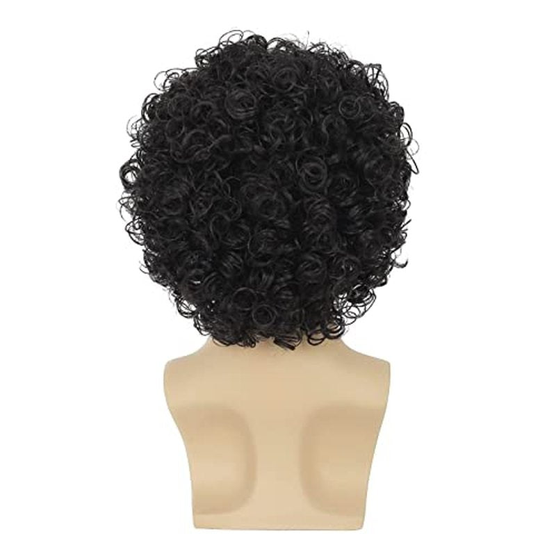 Dai Cloud Curly Wig Men Afro Wig Short Black Rocker Party Wig 70s 80s Fluffy Synthetic Daily Cosplay Halloween Hair Wig for Male Guys (Black)