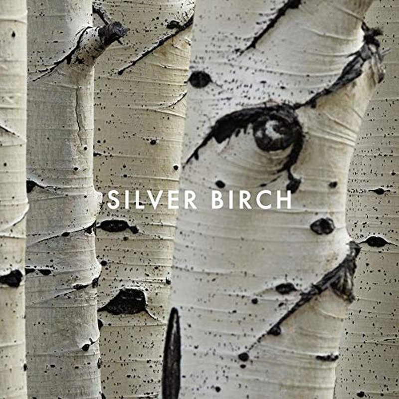 Shi by Alfred Sung for Women, Eau De Parfum Spray, 1.7-Ounce