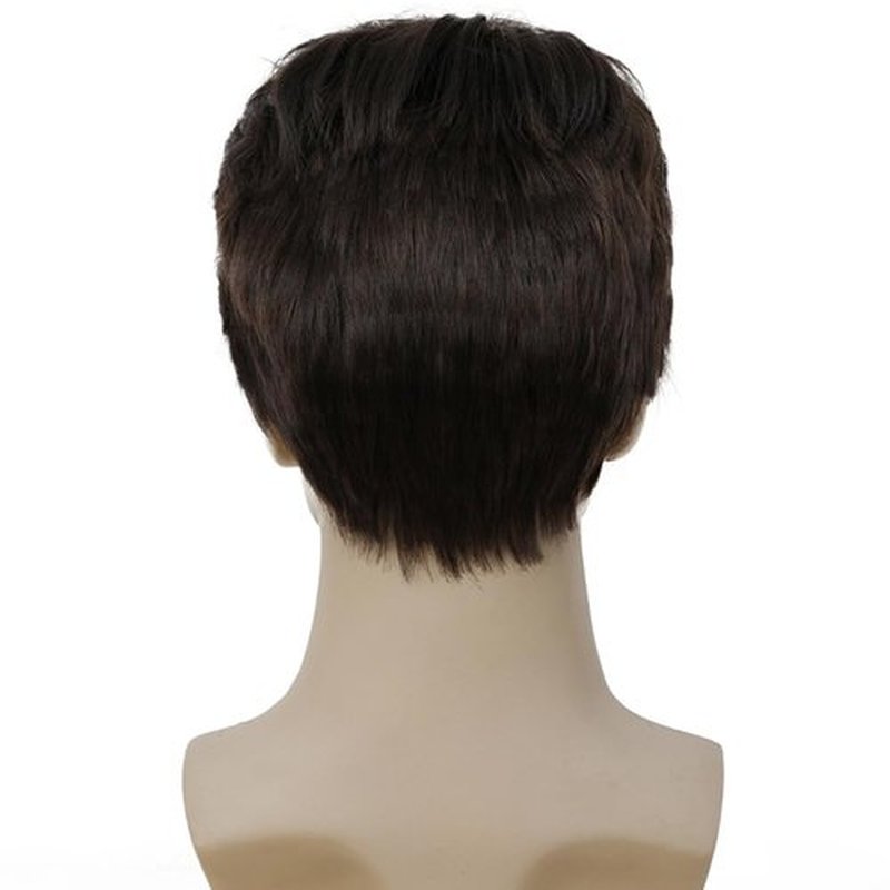 Amnenl Brown Short Wigs for Men Natural Layered Synthetic Hair Wig for Male Guy