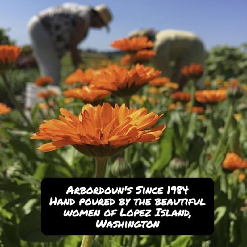 Calendula Cream 4oz Amber Jar Contains Comfrey, Oregon Grape, Aloe, Beeswax. Tattoo Aftercare Kit Essential. Soothing Eczema Salve. Home Grown and Hand Poured Since 1984 Arbordoun Ingredients Insert
