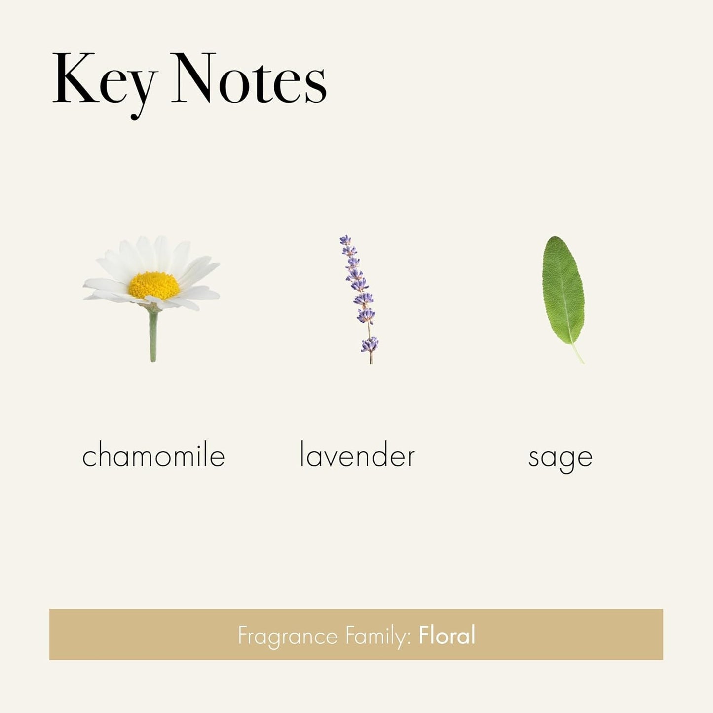 LAFCO New York Pura Smart Device Refill - Chamomile Lavender Scent | Lasts Up to 2 Weeks