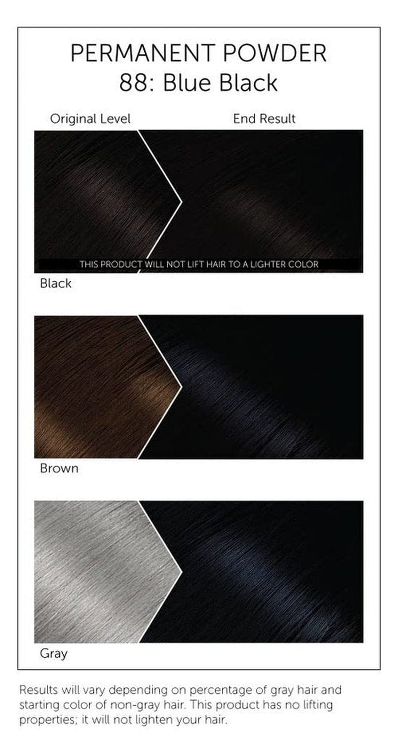 #88 Blue Black Bigen Permanent Powder - 12 Pack