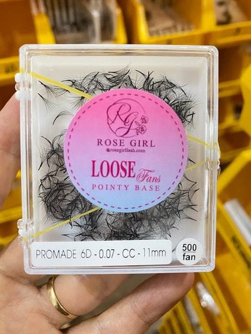 ROSE GIRL Loose Promade Fans - Natural Look Handmade Volume Eyelashes From 3D To 16D - C CC D DD Curl - False Lashes Extensions - Thickness 0.03~0.1 mm - 8~20 mm Length(6D-0.07-CC (15mm))