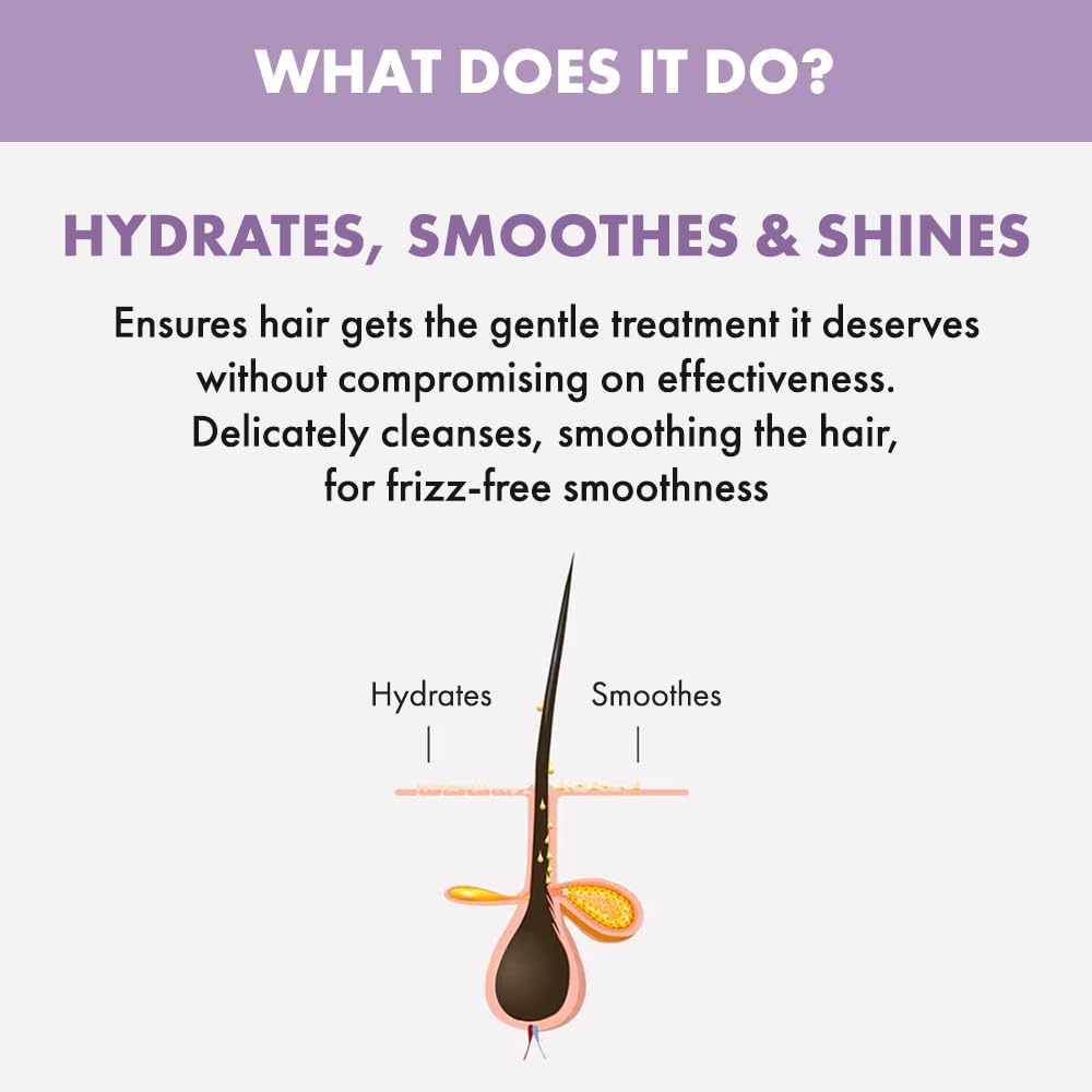 ALFAPARF MILANO Semi Di Lino Smoothing Sulfate Free Shampoo - Anti Frizz Hair Care & Cleansing Shampoo to Revitalize Dry Hair & Restore Shine