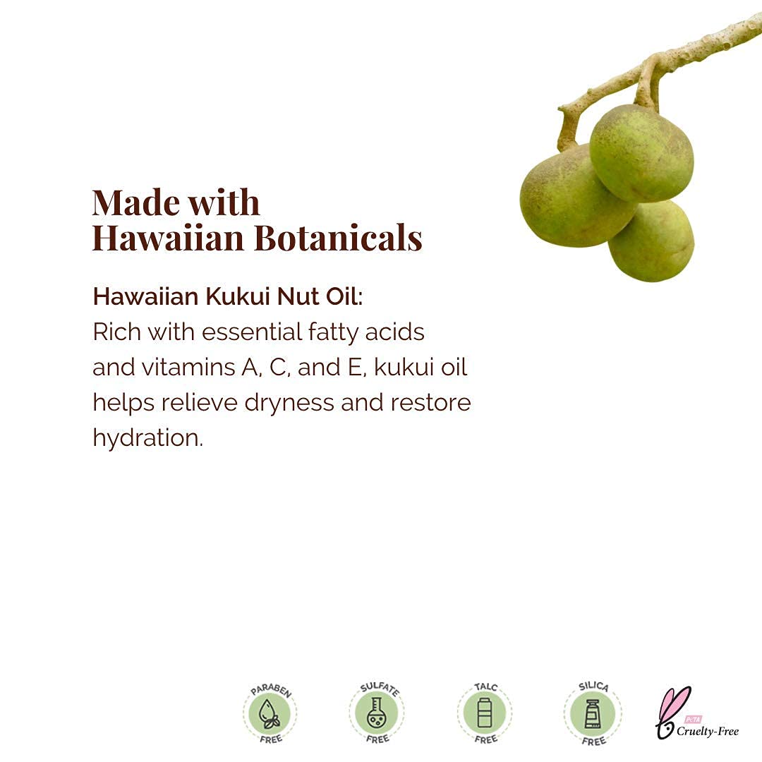Hanalei Lip Balm and Moisturizer - Natural Kukui Oil and Beeswax Lip Moisturizer to Hydrate and Replenish Dry, Chapped Lips - Made in USA - Variety Pack - Lip Balm (3 Tubes)