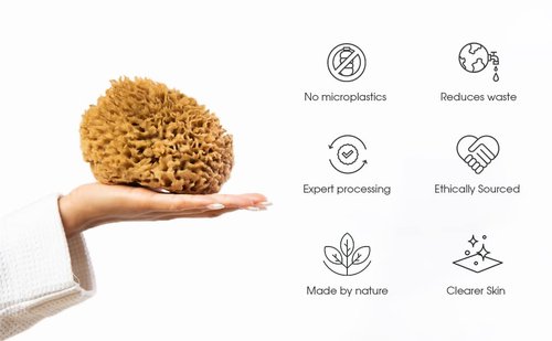 Naroa Soft Natural Sponge | Gentle Sea Sponge for Bathing Healthy Skin | Unbleached Shower Body Scrubber Puff | Eco Friendly Bath Spa Sponge (Soft - Large)