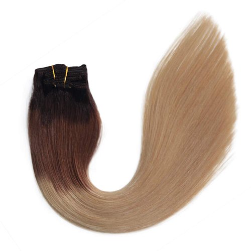 Ombre Clip in Real Hair Extensions Balayage Remy Hair Extensions Clip in Dark Brown with Light Brown 120g Full Head Straight Soft Natural Hair Extensions 22 inch