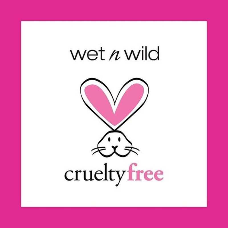 wet n wild Fan Brush, Blending Brush for Highlighter, Blush, & Peel Masks, Ergonomic Handle (Pack of 2)