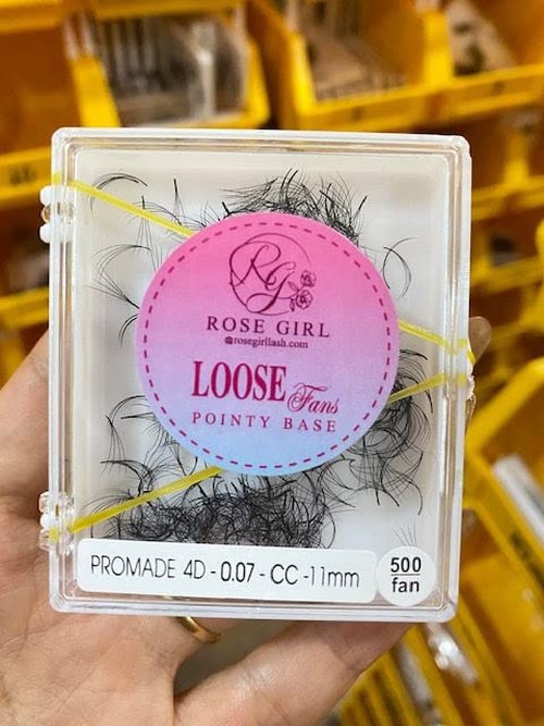 ROSE GIRL Loose Promade Fans - Natural Look Handmade Volume Eyelashes From 3D To 16D - C CC D DD Curl - False Lashes Extensions - Thickness 0.03~0.1 mm - 8~20 mm Length(4D-0.07-D (16mm))