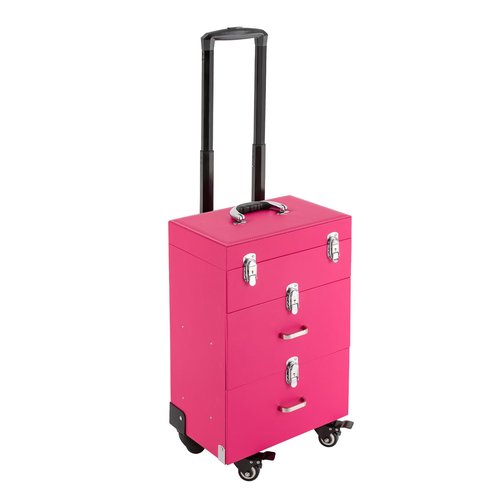 PalaUha Rolling Makeup Train Case Professional Cosmetic Organizer Trolley with Drawers Compartment Nail Case Wheeled Manicure Pedicure Storage Case for Hair Stylists Makeup Artists (Pink & Silver)