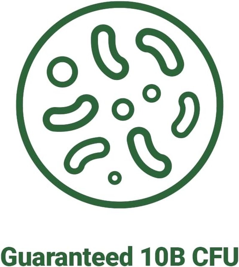 Lactobacillus Gasseri BNR17 Probiotic - 10 Billion CFU, 30 Capsules for Digestive Health