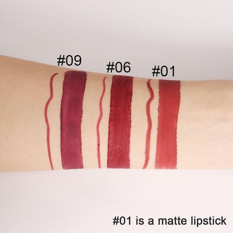 2 in 1 Red Matte Lip Liner & Lipstick Combination, DNM Metallic Dual Ended Lipstick, Lip Liner, Lip Gloss, 24 Hour all Day Long-Lasting Waterproof Lipliners Pencil for Women Lip Makeup Gift Set 01#