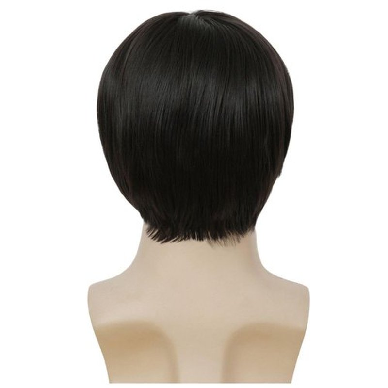 Tseses Mens Black Wig Short Straight Men Wigs Synthetic Wig Middle Part Wigs for Men Costume Halloween Natural Hair Wigs(Black)
